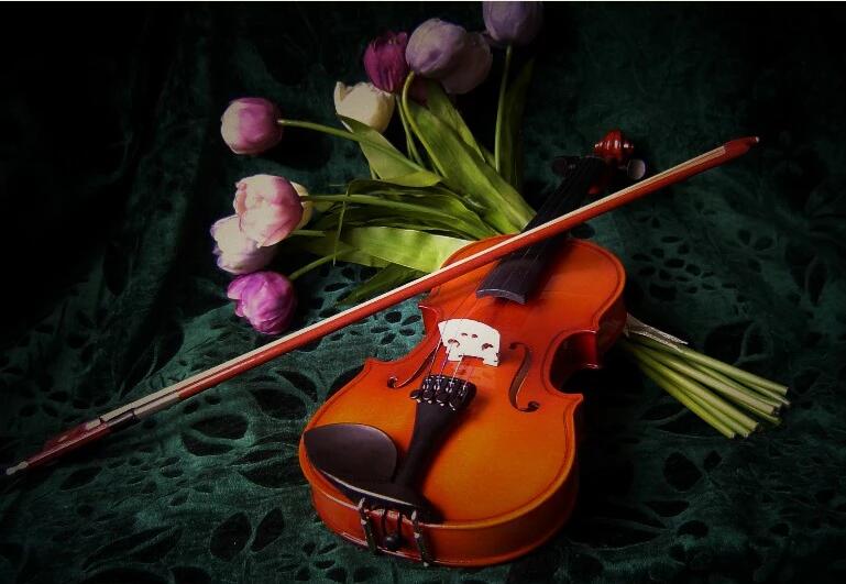 成年人学习小提琴，使用简谱行吗？