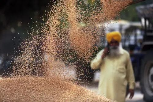 俄乌冲突叠加印度出口禁令，小麦期货年内涨超60%。
